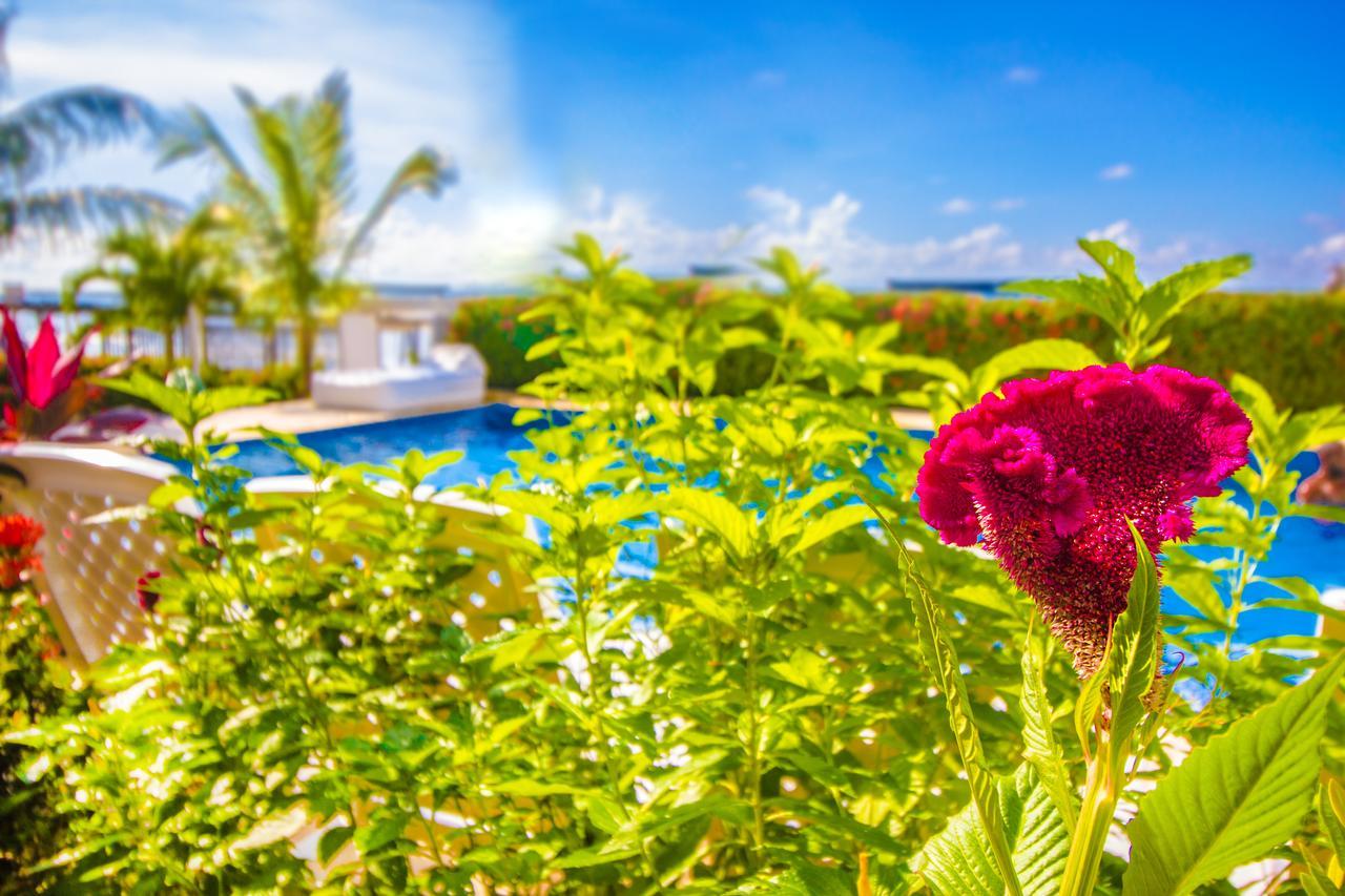 Hotel Aria Manzanillo Cartagène Extérieur photo
